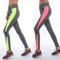 Women's Slim Active Legging - Fresh Shade